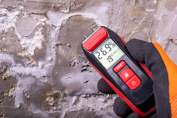 Best Preventive Mold Services in Madison Park, NJ